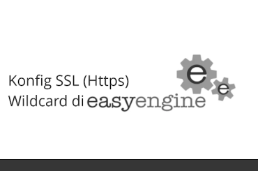 Cara Setting Wildcard SSL dan Sub-domain  EasyEngine