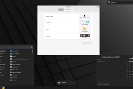 Linux mint 22.1 xia
